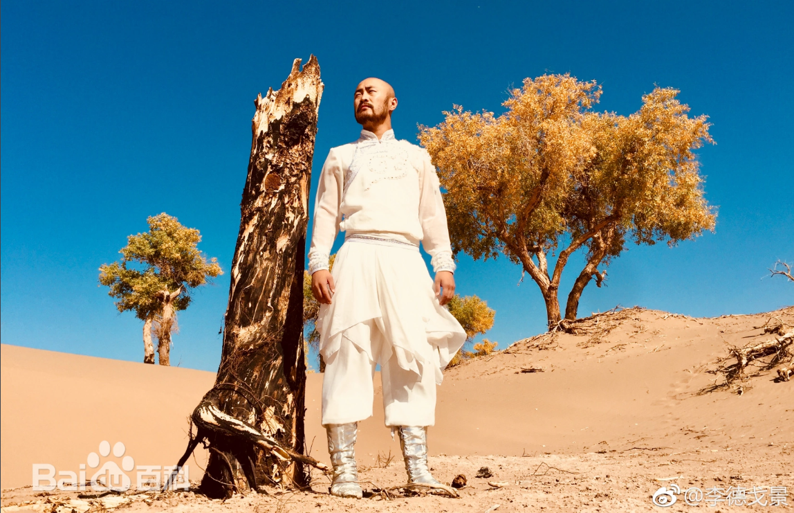 李德戈景艺术风采